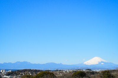 庭園からの眺め