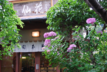 三日月堂 花仙