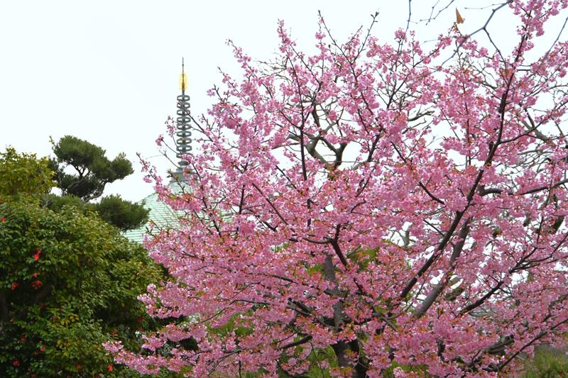 本覚寺
