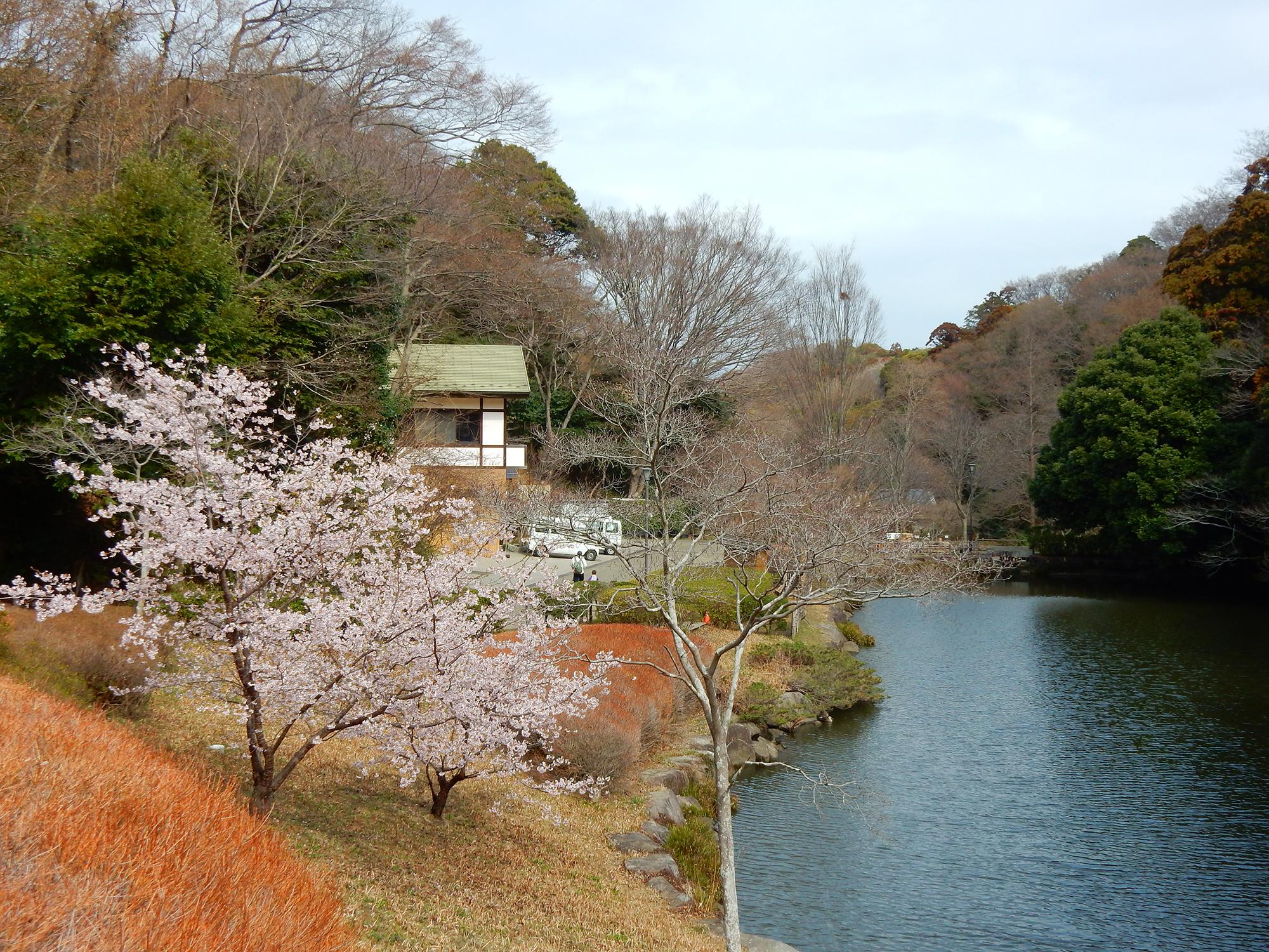 鎌倉中央公園