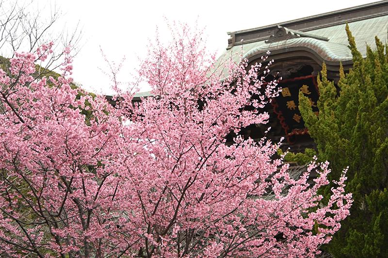 建長寺