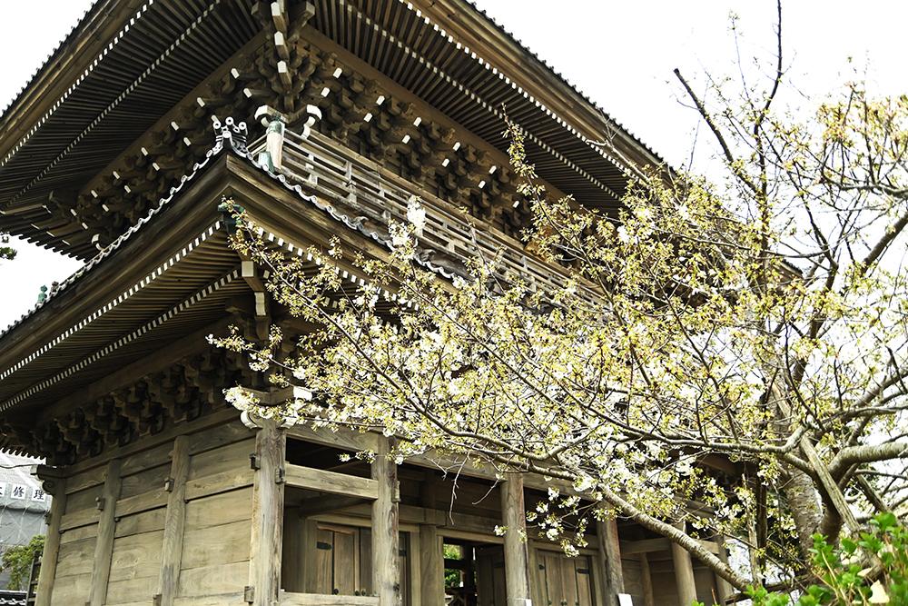 光明寺