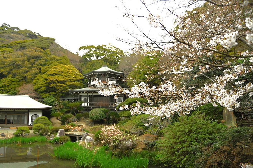 光明寺