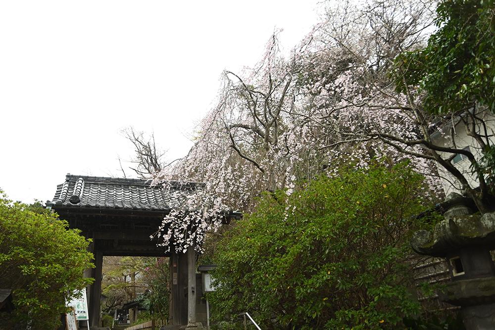 安国論寺