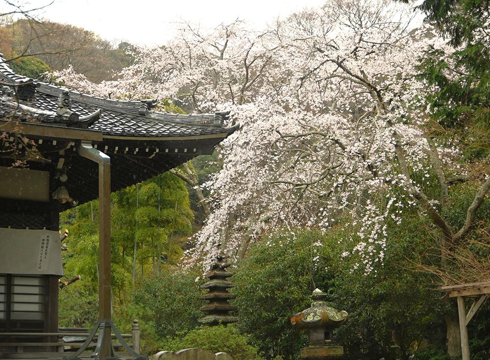 安国論寺