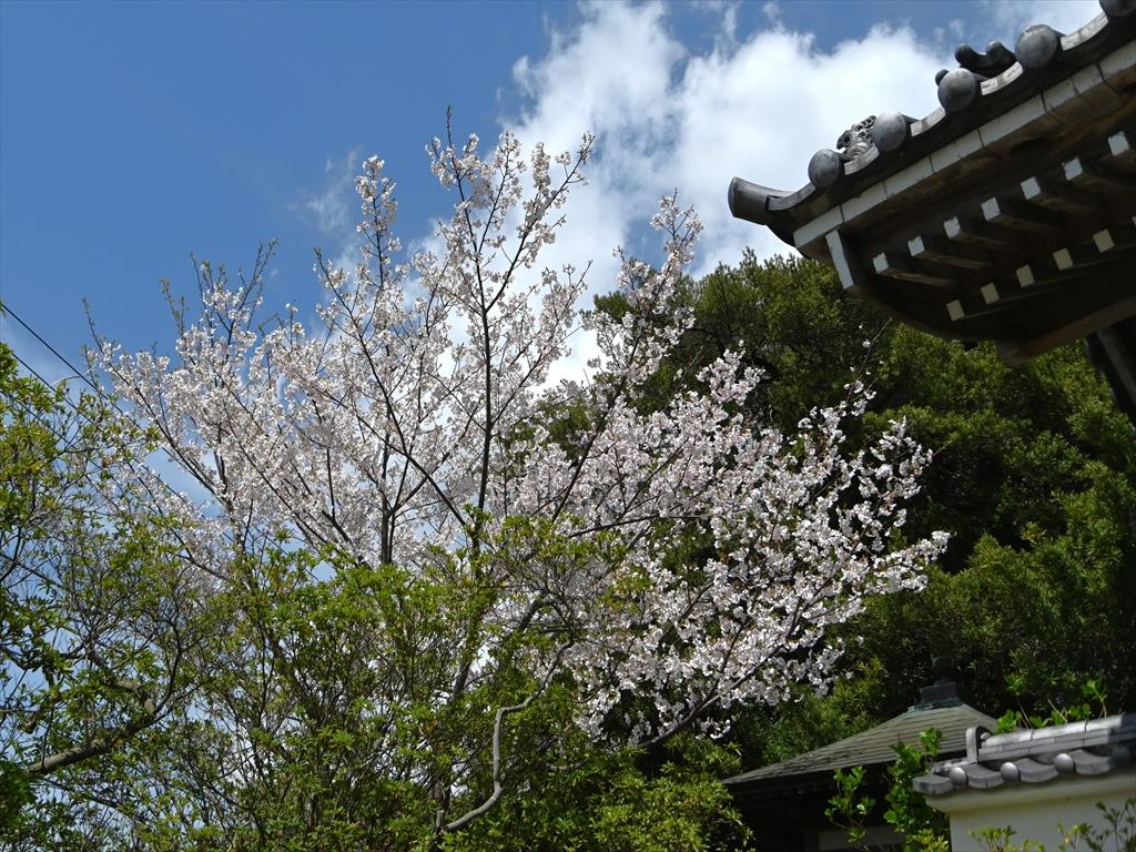 安養院