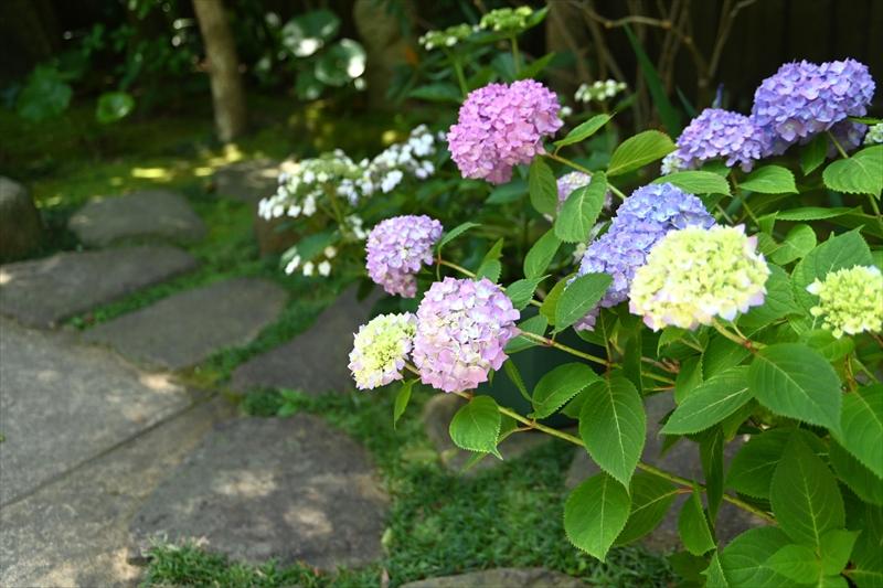 長谷寺