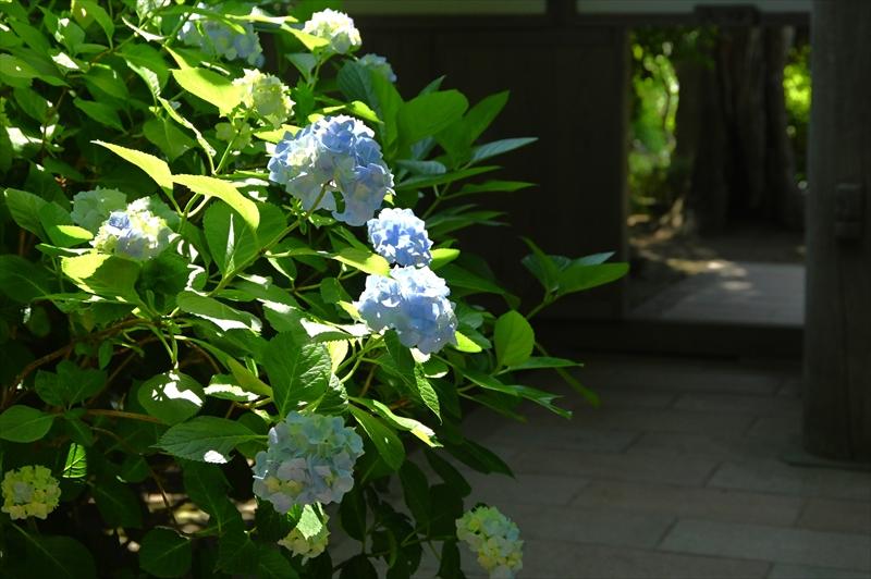 極楽寺
