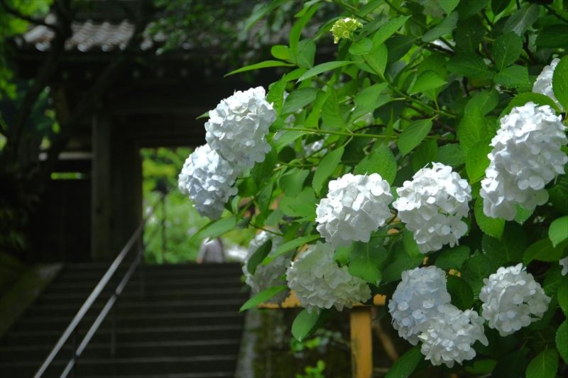 円覚寺