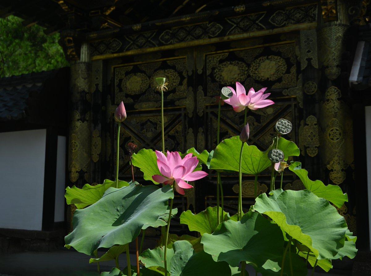建長寺