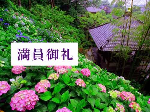 第6回 出張鎌倉ミュージアム 長谷寺　募集を締め切りました
