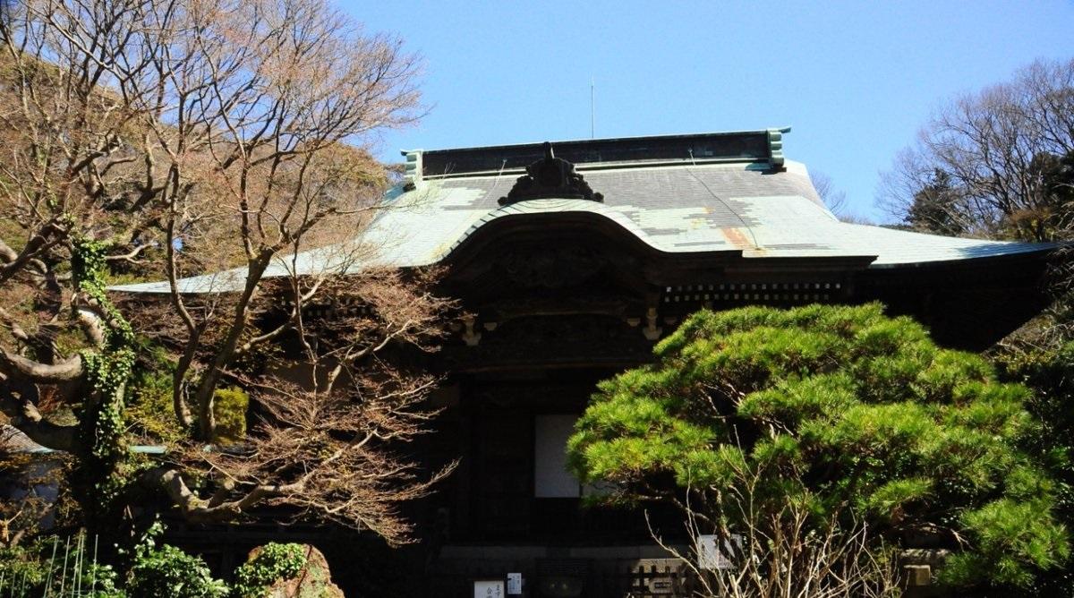 妙法寺（苔寺）