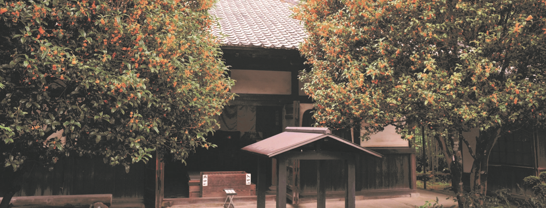 円応寺