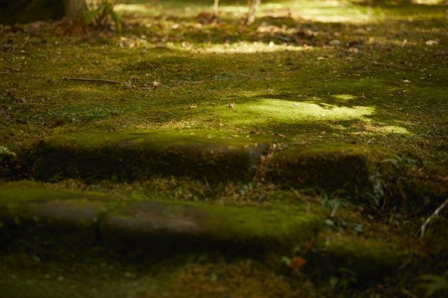 覚園寺