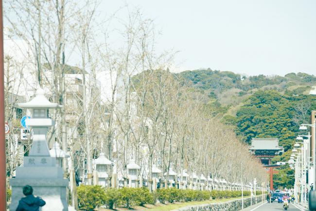 若宮大路