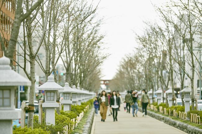 若宮大路