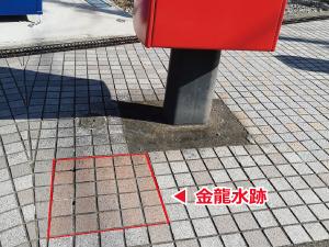 ​金龍水