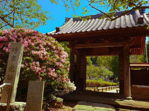 光触寺