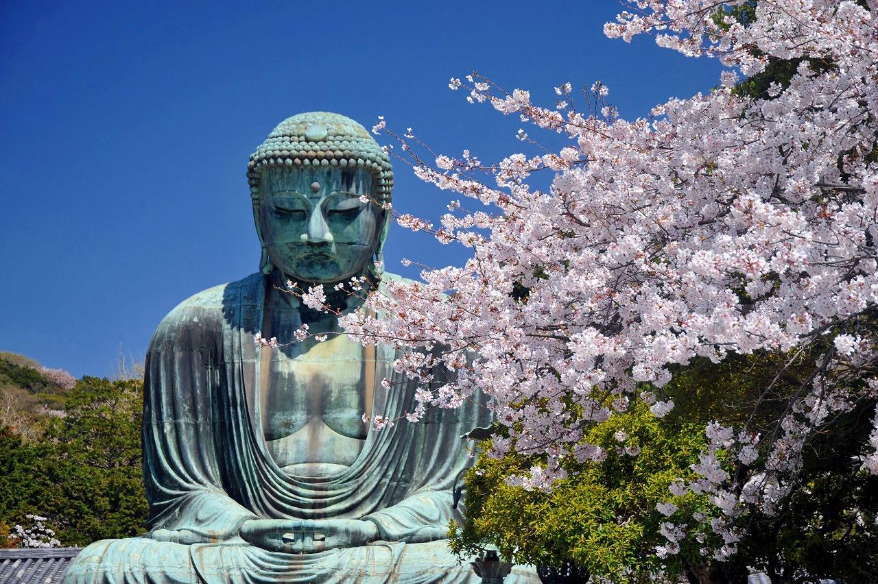 高徳院（鎌倉大仏／鎌倉大仏殿高徳院）