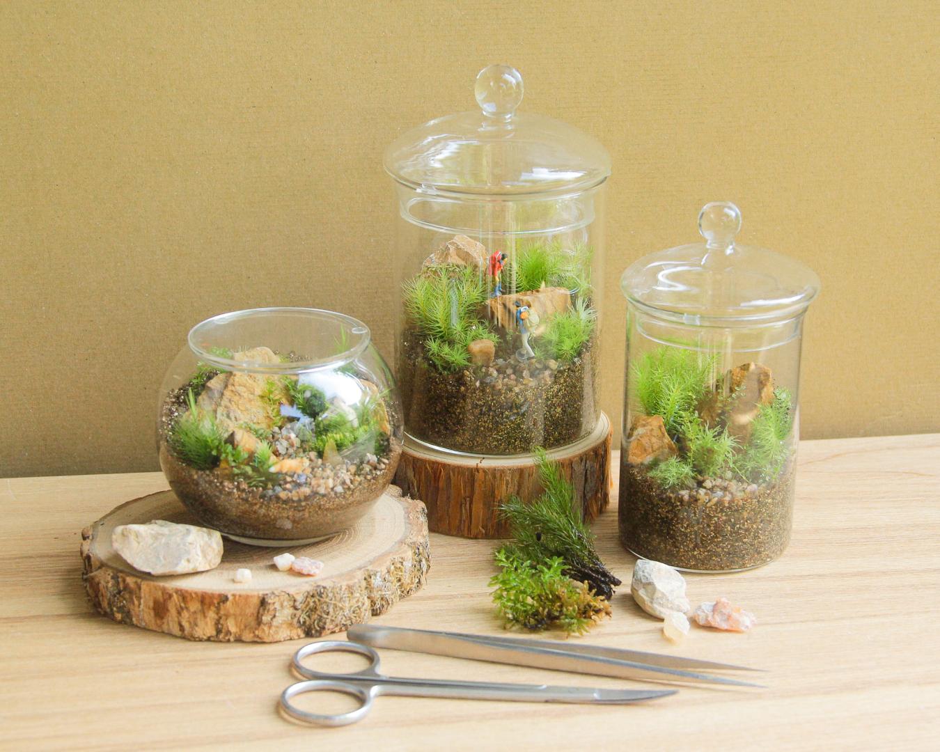苔むすび