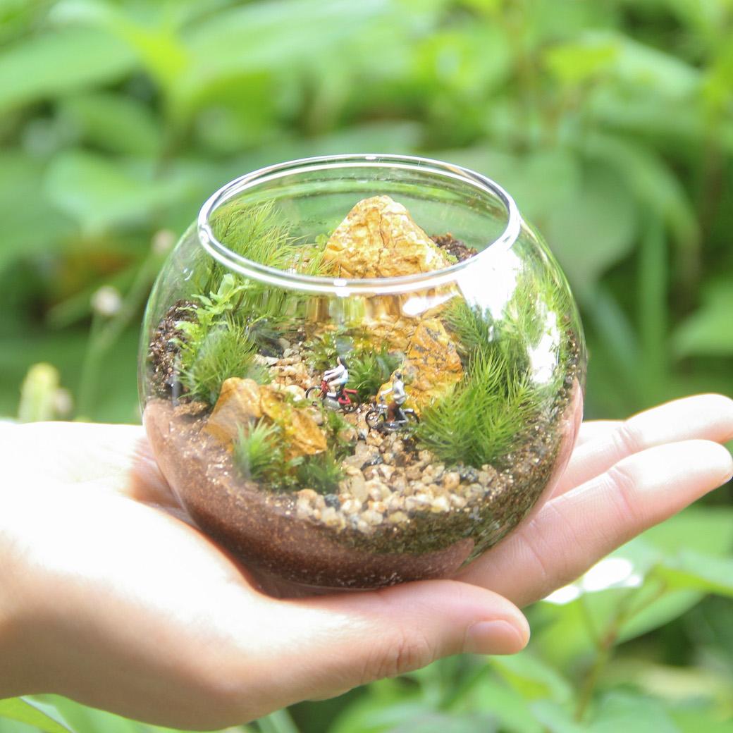 苔むすび