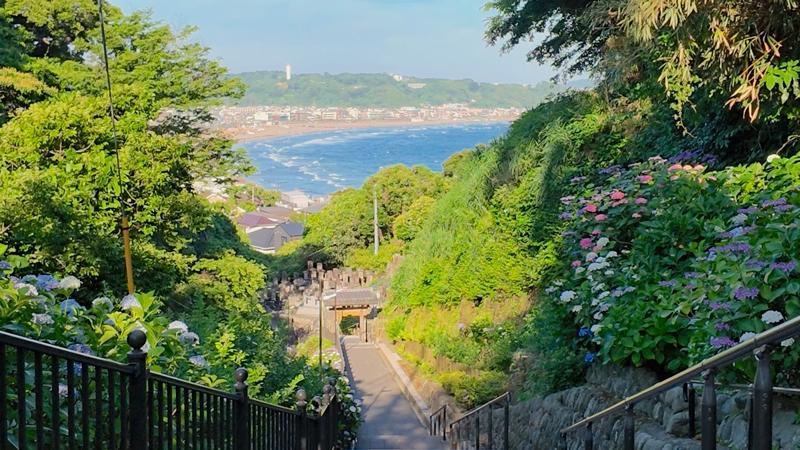 ZENRISE（地域限定旅行会社）