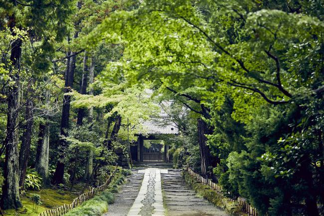寿福寺