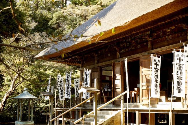 杉本寺