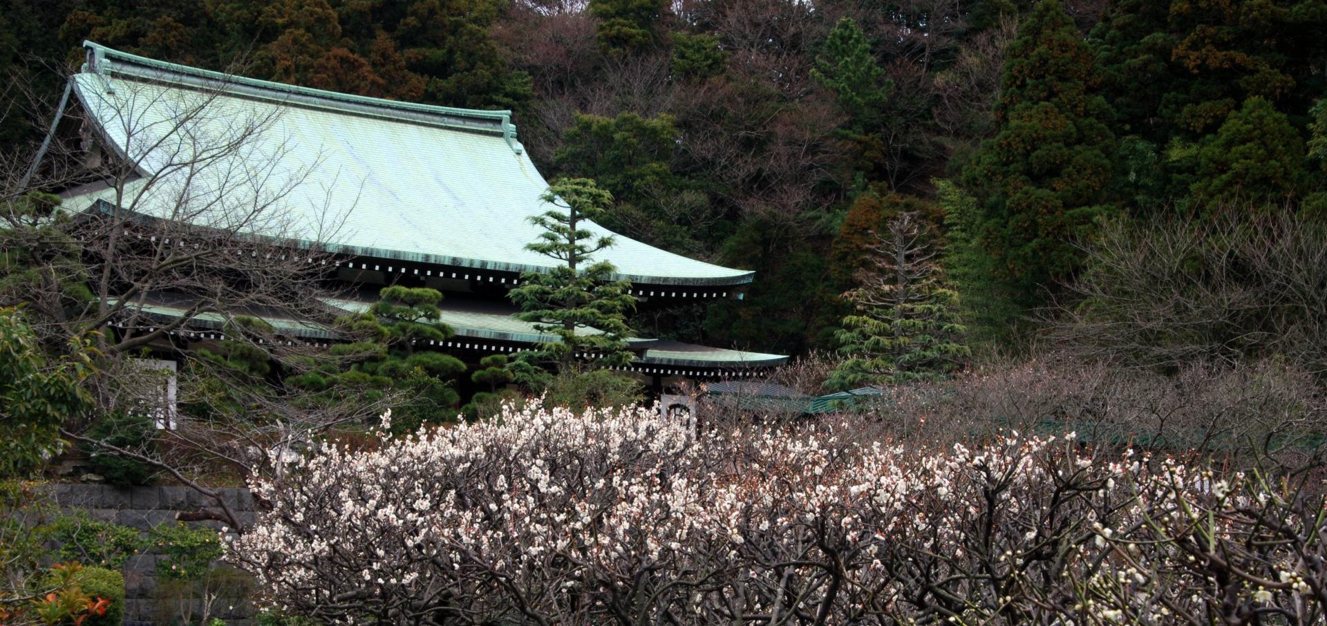 龍宝寺