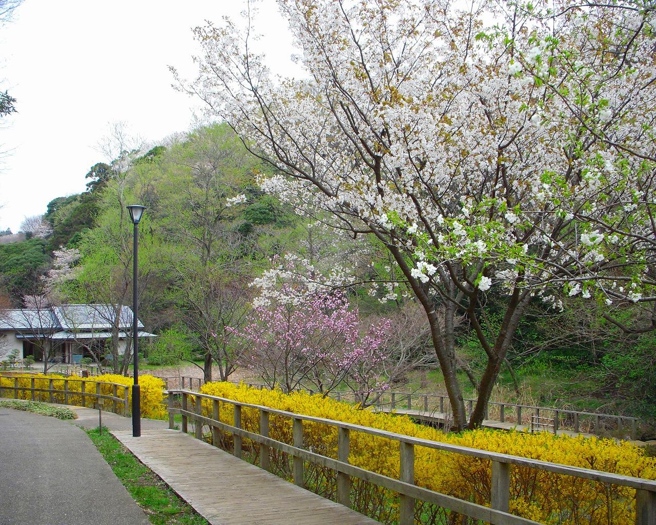 鎌倉中央公園