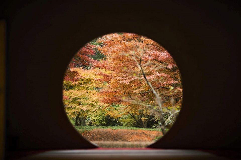 明月院（鎌倉市山ノ内）