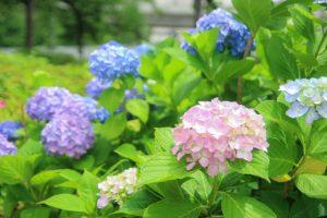 最新のお献立　【夏】