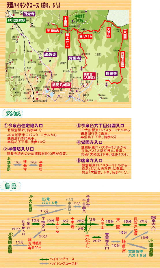 基本情報