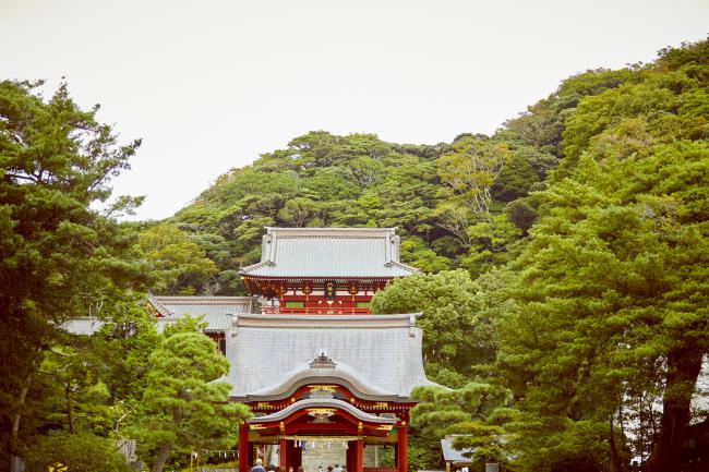 鶴岡八幡宮（滞在時間約40分）