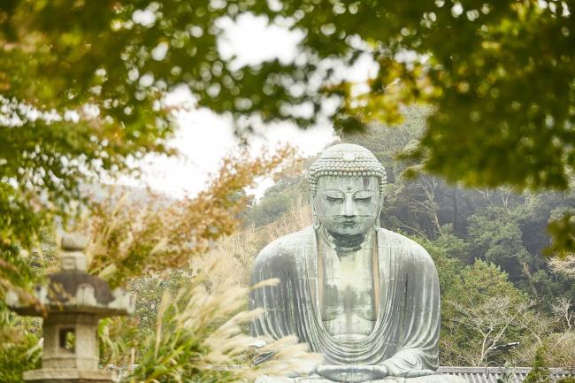鎌倉大仏（高徳院）（滞在時間約40分）​