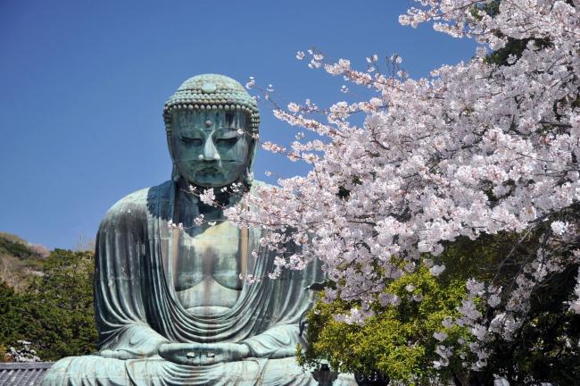 鎌倉の日本遺産「女性の思いを馳せるルート」